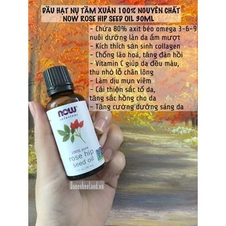 DẦU HẠT NỤ TẦM XUÂN NOW 100% PURE ROSE HIP SEED OIL