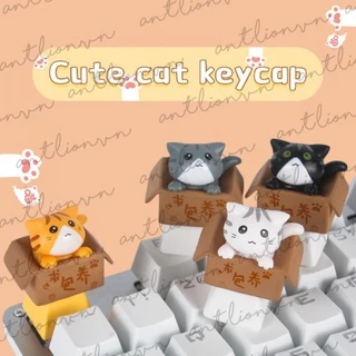 Nút Bàn Phím Keycap lẻ Mèo Con Trong Hộp siêu dễ thương Lionvn