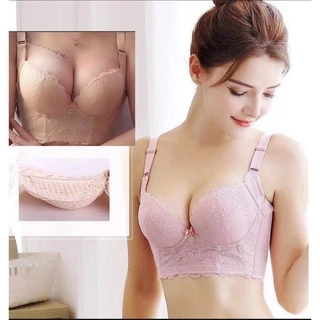 (Đệm dày) Áo Bra corset 5 móc cài che mỡ lưng không gọng