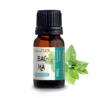 Tinh dầu thiên nhiên Bạc Hà 10ml - Vina Tươi