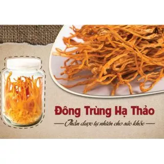 Đông trùng hạ thảo khô 100g túi zip