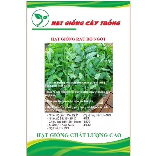 Hạt giống rau bồ ngót CT21 - Gói 1gram