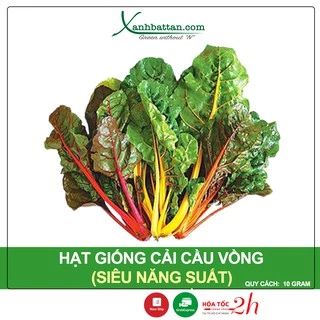 Hạt Giống Cải Cầu Vồng Siêu Năng Suất, Nảy Mầm Cao 10 Gram