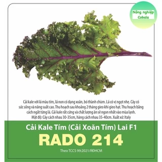 Hạt Giống Cải Kale Tím, Cải Xoăn Tím (214) 1gr