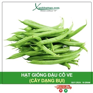 Hạt Giống Đậu Cove Trắng Dạng Bụi Phú Nông Gói 10 Gram