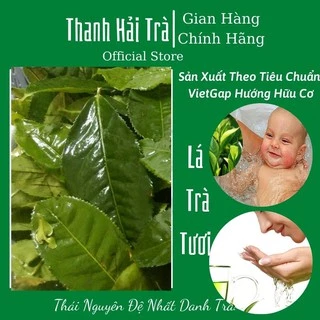 Lá Trà Xanh 🍃FREESHIP🍃 Lá Chè Thái Nguyên Lá Tươi Dùng Đun Nước Tắm Cho Bé [Tra Thai Nguyen]