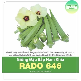 Hạt Giống Đậu Bắp 5 Khía (RADO646) 20gr