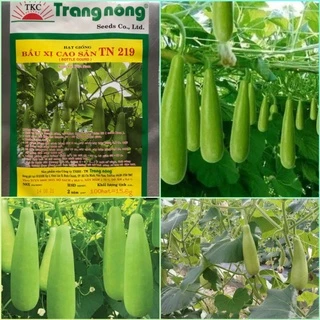 Hạt giống bầu xị siêu quả Trang Nông 100 hạt