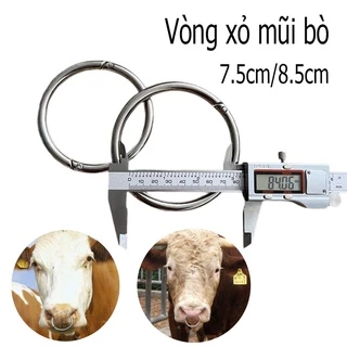 Vòng xỏ mũi bò Pakistan Vòng xỏ mũi bò inox 304 nhẵn 2 kích cỡ Vòng xỏ mũi trâu bò Khuyên mũi bò Phụ kiện kìm bấm xỏ mũi