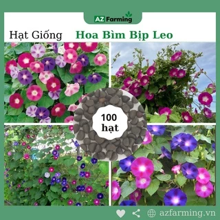 Hạt Giống Hoa Bìm Bịp Leo - Gói 100 hạt - AZ Farming