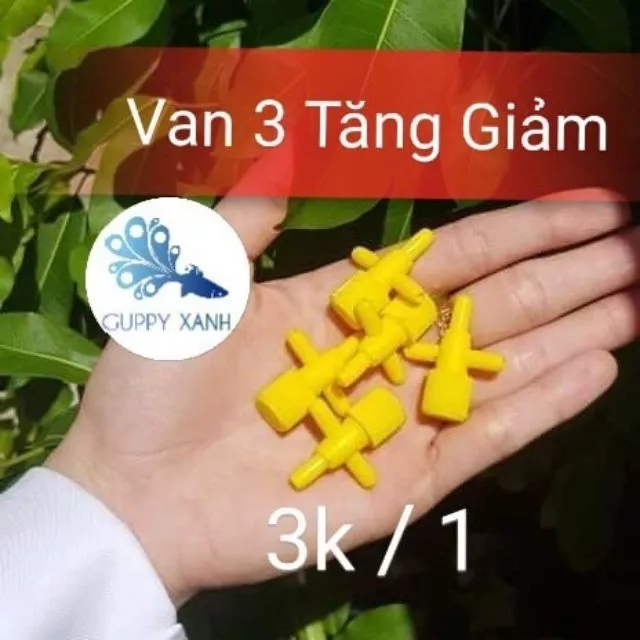 Van Khí Oxy Có Tăng Giảm Hình Chữ T - Guppy Xanh