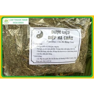 1kg diệp hạ châu/chó đẻ răng cưa (khô, sạch, đẹp) -dltd