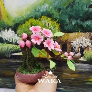 Bonsai Mini- CâyĐào Mini 01