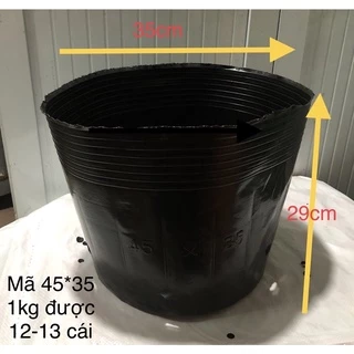 Chậu dẻo trồng cây mã 45*35, chậu dày hàng loại 1 bít lỗ và có lỗ c10,c11,c12,c13