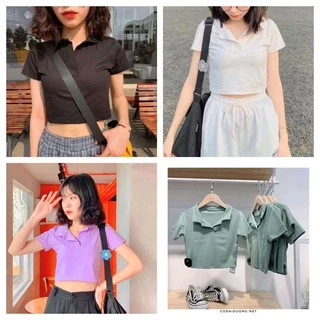 Áo Croptop Nữ PL Tay Ngắn Dáng Ôm Ulzzang CAMA STORE M 8