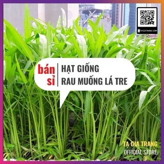 [Bán sỉ] - Hạt giống rau muống lá tre (rau muống lá nhỏ)