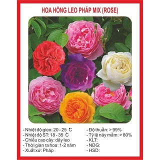 Hạt Giống Hoa Hồng Leo Mix 50 Hạt