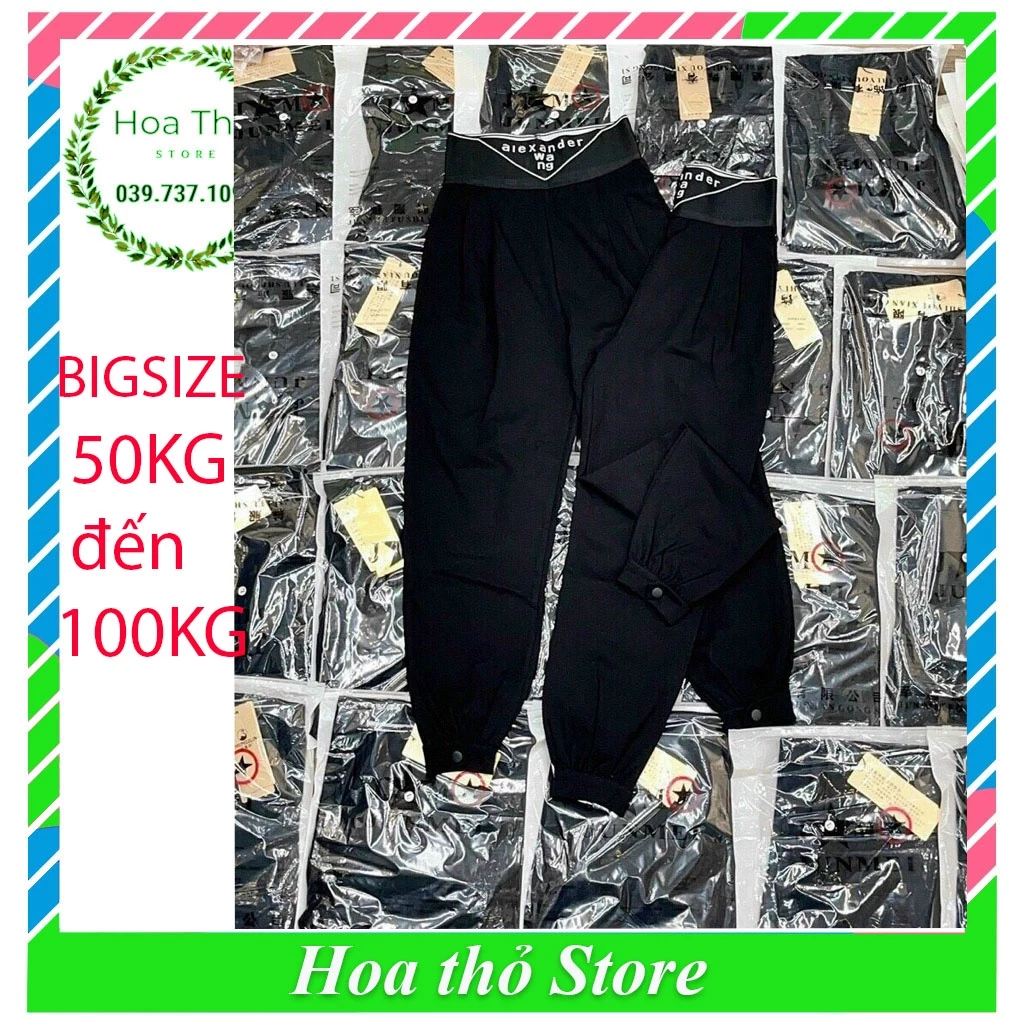 (BIGSIZE 35-100KG) Quần baggy bigsize nữ lên from cực xinh