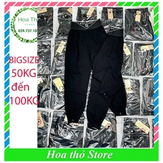 (BIGSIZE 35-100KG) Quần baggy bigsize nữ lên from cực xinh