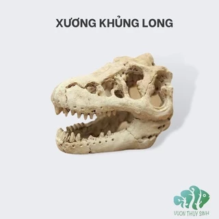 Xương khủng long trang trí bể cá, bể thuỷ sinh