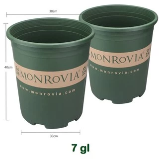 Chậu nhựa trồng hoa Mon dày bóng loại 1 hàng TQ - Monrovia 7gal (38x40cm) Trung Quốc