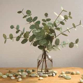 Cành khuynh diệp Eucalyptus giả trang trí decor