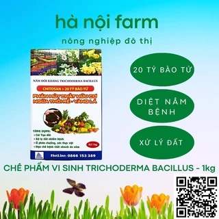 Men Vi Sinh Trichoderma bacillus Nấm đối kháng, Phân huỷ chất hữu cơ - hộp 1kg