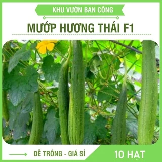 Hạt Giống Mướp Hương Thái Lan F1 Cực Thơm Sai Trái Trồng Quanh Năm Gói 1G 10Hạt - Khu Vườn Ban Công