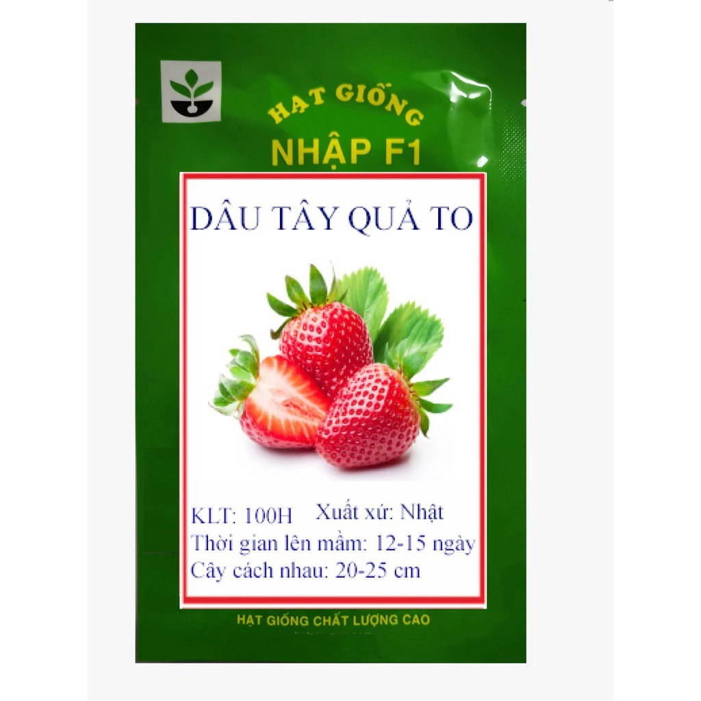 Gói 100 hạt giống quả dâu tây quả to chịu nhiệt MUA TỪ 58K TẶNG 2 GÓI SẢN PHẨM HẠT GIỐNG  KHUYẾN MẠI SHOP MỚI HẠ GIÁ SỈ