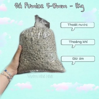 1kg Đá bọt Pumice Indo 5-8mm Đã Sàng Sơ chuyên rải mặt, lót chậu, trộn giá thể trồng sen đá, xương rồng, lithops, lan