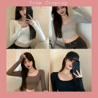 Áo Croptop Cổ Vuông Lai Bầu 4 Màu Phong Cách Hàn Quốc Dành Cho Nữ Form Dưới 53kg