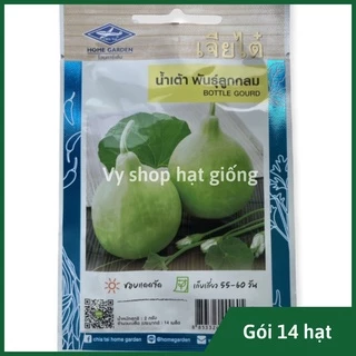 Hạt giống bầu gáo Thái Lan gói 14 hạt