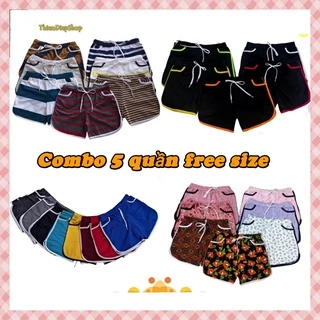 Combo 5 Quần đùi nữ short thể thao, quần thun cotton 4 chiều co giãn thoáng và thấm hút mồ hôi