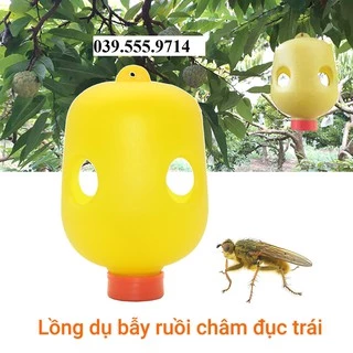 Combo 5 Lồng Bẫy Diệt Ruồi Vàng, Côn Trùng Châm Đục Trái