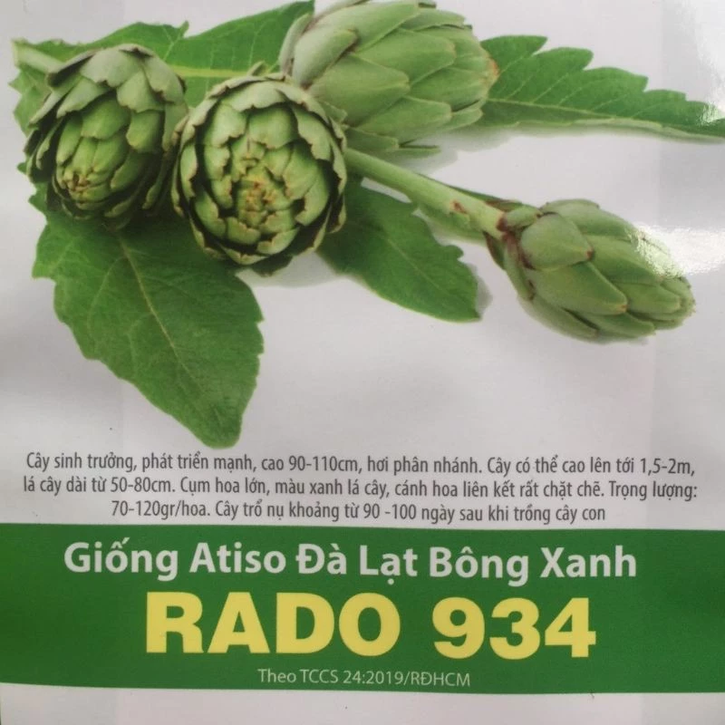 Hạt giống Atiso xanh