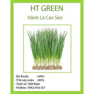 Hạt Giống Hành Lá Cao Sản Dễ Trồng, Thơm Ngon 1gr