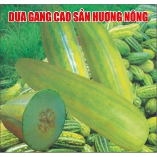 Hạt giống dưa gang trái dài - gói 5 gram