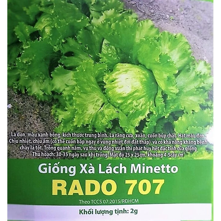 100 - HẠT GIỐNG XÀ LÁCH MĨ MINETTO