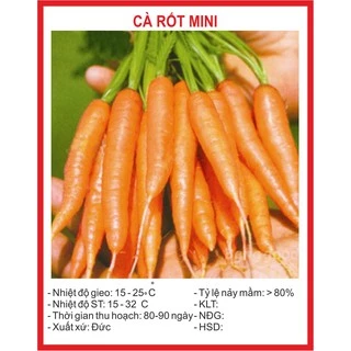 Hạt giống Cà Rốt Mini 0.2 Gram