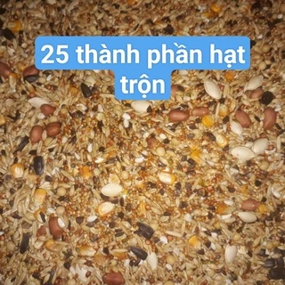 Thức ăn trộn nguyên hạt cho Hamster, Sóc 400g