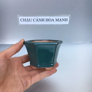 Chậu Lục giác bonsai sen đá mini màu Xanh ngọc gốm Bát tràng 1 size SP379