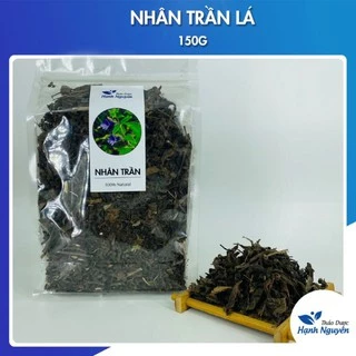 Nhân trần lá 100g (nhân trần sạch, mát, thanh nhiệt) - Thảo dược hạnh nguyên