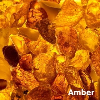 Tinh dầu hổ phách Amber Essential Oil (Pinus succinifera)