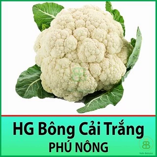 Hạt Giống Bông Cải Trắng Dễ Trồng, Chịu Nhiệt - Súp Lơ Trắng 0,3gram