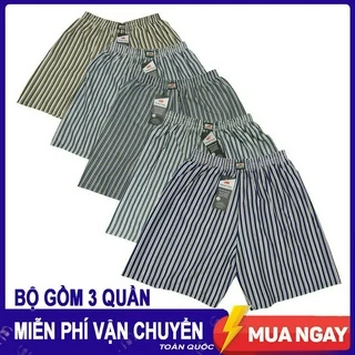 COMBO 3 Quần đùi Nam mặc nhà, quần đùi nam kẻ sọc