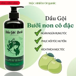 Dầu gội bưởi cô đặc thiên nhiên 500ML sạch gàu, kích mọc tóc nhanh, ngăn rụng tóc