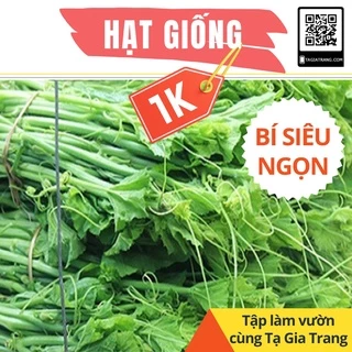 Deal 1K - 2 Hạt giống bí siêu ngọn (bí siêu đọt) - Tập làm vườn cùng Tạ Gia Trang