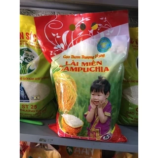Gạo Lài Miên Campuchia 5kg, cơm dẻo thơm ngon Loại 1 hàng nhập khẩu