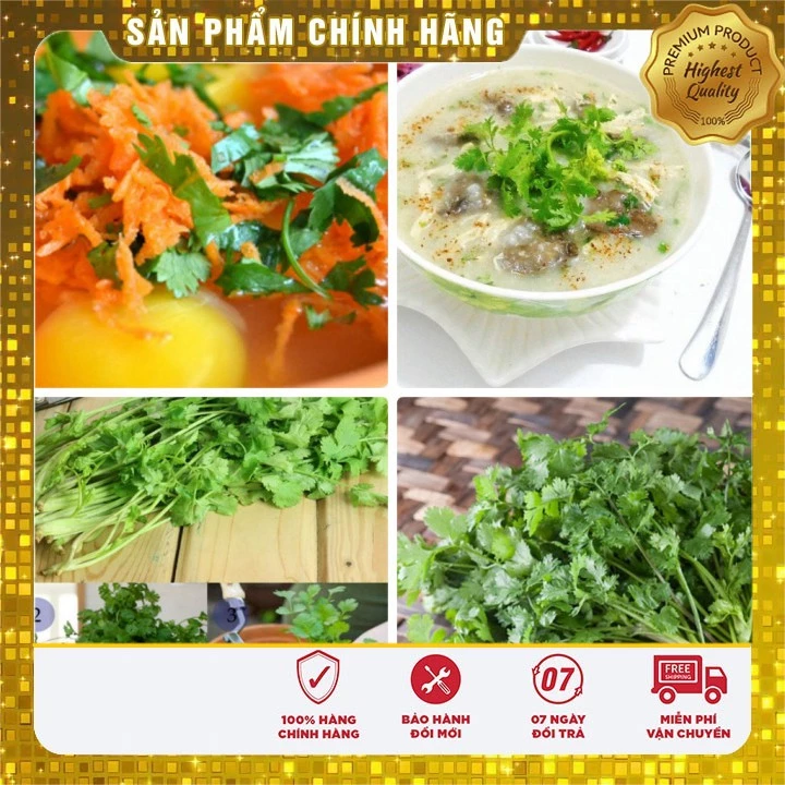 Hạt giống Rau Mùi Chịu Nhiệt trồng quanh năm gói 20 Gram