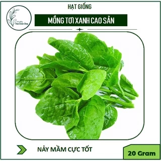 Hạt giống Mồng Tơi Xanh 20 gr